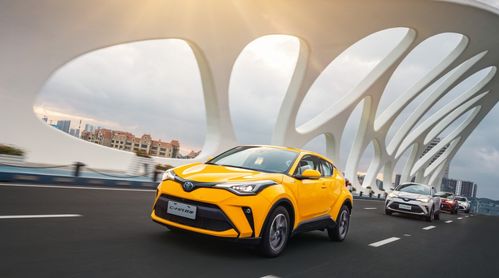 巴斯夫推出高光免噴涂聚酰胺牌號(hào),用于豐田車(chē)內(nèi)裝飾部件